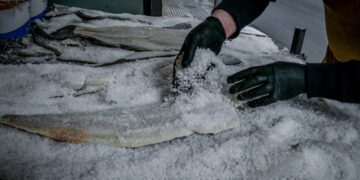 Σύμφωνα με τον υπουργό Ανάπτυξης, αν ο μπακαλιάρος είναι παστός, η τιμή ανεβαίνει και μπορεί να φτάσει και τα 20 ευρώ (φωτ.: EUROKINISSI/Τατιάνα Μπόλαρη)