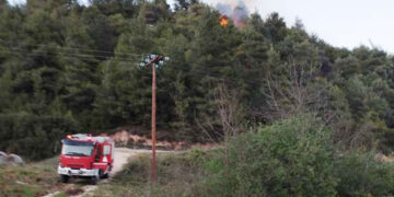 Πυροσβεστικό στην περιοχή ανάμεσα στη Μενδενίτσα και τα Καραβίδια του Δήμου Καμένων Βούρλων (φωτ.: Facebook / George Palamiotis)