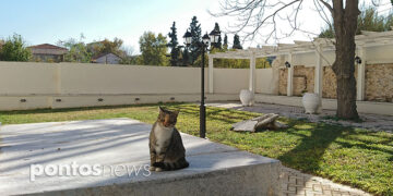 (Φωτ.: Χριστίνα Κωνσταντάκη)