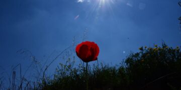 (Φωτ.: EUROKINISSI/Βασίλης Παπαδόπουλος)