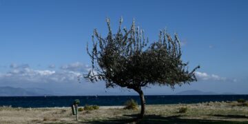 Αίθριος θα είναι σήμερα ο καιρός στο μεγαλύτερο μέρος της χώρας, με ανέμους 7-8 μποφόρ στο Αιγαίο (φωτ.: EUROKINISSI/Μιχάλης Καραγιάννης)