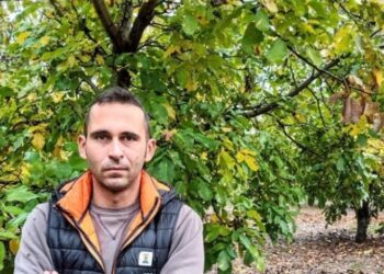 Οι καρυδιές του Θέμη Τομπουλίδη βρίσκονται στις πλαγιές του όρους Μπέλλες, στο Μανδράκι Σερρών (φωτ.: Θέμης Τομπουλίδης)