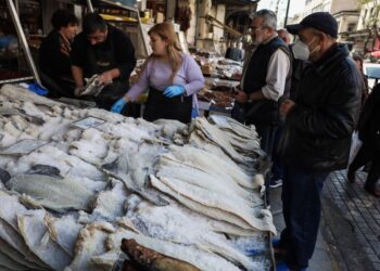 Αυξημένη είναι η κίνηση στη Βαρβάκειο, ενόψει της 25ης Μαρτίου. Σύμφωνα με την περιβαλλοντική οργάνωση iSea, ο μπακαλιάρος, που είναι ανώτερος θηρευτής βαθιών νερών, είναι είδος υπεραλιευμένο και παρά τα νομοθετικά μέτρα, υπάρχει πίεση στον πληθυσμό του (φωτ.: EUROKINISSI/Κώστας Τζούμας)