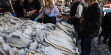 Αυξημένη είναι η κίνηση στη Βαρβάκειο, ενόψει της 25ης Μαρτίου. Σύμφωνα με την περιβαλλοντική οργάνωση iSea, ο μπακαλιάρος, που είναι ανώτερος θηρευτής βαθιών νερών, είναι είδος υπεραλιευμένο και παρά τα νομοθετικά μέτρα, υπάρχει πίεση στον πληθυσμό του (φωτ.: EUROKINISSI/Κώστας Τζούμας)