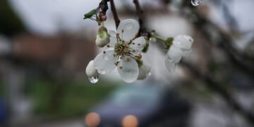 (Φωτ.: EUROKINISSI / Θανάσης Καλλιάρας)