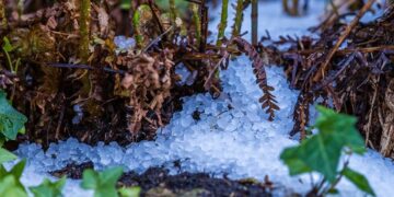 (Φωτ.: pixabay.com/maxmann)