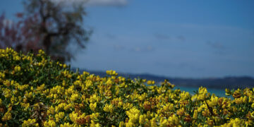 (Φωτ.: EUROKINISSI / Γιώργος Κονταρίνης)