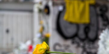 Ένα κίτρινο τριαντάφυλλο στο σημείο όπου δολοφονήθηκε ο Άλκης Καμπανός (φωτ.: ΜΟΤΙΟΝΤΕΑΜ/Ραφαήλ Γεωργιάδης)