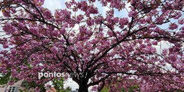 (Φωτ.: Χριστίνα Κωνσταντάκη)