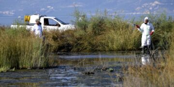 Oι ψεκασμοί από εδάφους έχουν ξεκινήσει από τις αρχές του μήνα στα 160.000 στρέμματα που καλύπτουν τα 16 υγροτοπικά συστήματα της Κεντρικής Μακεδονίας (φωτ. αρχείου: EUROKINISSI/Βασίλης Παπαδόπουλος)