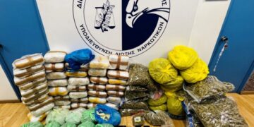 Στις έρευνες που πραγματοποιήθηκαν στα οχήματα και τα σπίτια των συλληφθέντων, συνολικά βρέθηκαν και κατασχέθηκαν 93 κιλά και 930 γραμμαρίων ακατέργαστης κάνναβης, δύο ηλεκτρονικές ζυγαριές ακριβείας, δύο κινητά τηλέφωνα, αυτοκίνητο, 300 ευρώ και πλήθος νάιλον συσκευασιών (φωτ.: Ελληνική Αστυνομία)