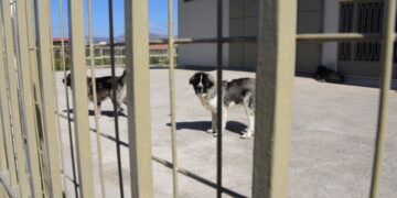 (Φωτ. αρχείου: EUROKINISSI/Βασίλης Παπαδόπουλος)