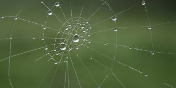 (Φωτ.: pixabay.com/siegella)