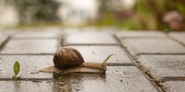 (Φωτ.: pixabay.com/370eis)