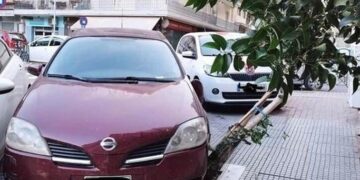 Το δέντρο, όπως φαίνεται και στη φωτογραφία, καταστράφηκε και πρέπει να αντικατασταθεί (φωτ.: facebook/Κωνσταντίνος Ζέρβας)