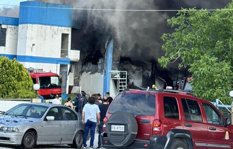 Πυκνός καπνός από τη φωτιά στο εργοστάσιο με μοκέτες έξω από τον Πλατύκαμπο Λάρισας (φωτ.: onlarissa.gr)