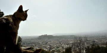 (Φωτ.: EUROKINISSI / Τατιάνα Μπόλαρη)
