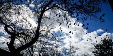 (Φωτ.: EUROKINISSI / Γιώργος Κονταρίνης)