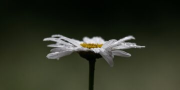 (Φωτ.: EUROKINISSI/Θανάσης Καλλιαράς)