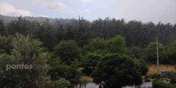 Ιούνιος με φθινοπωρινή διάθεση στα Πεύκα Θεσσαλονίκης (φωτ.: pontosnews.gr)