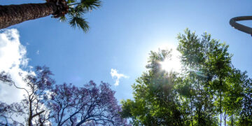 (Φωτ.: EUROKINISSI / Γιώργος Κονταρίνης)