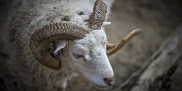 (Φωτ. αρχείου: EUROKINISSI/Θανάσης Καλλιάρας)