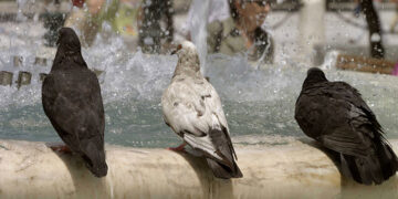 (Φωτ.: EUROKINISSI / Βάιος Χασιαλής)