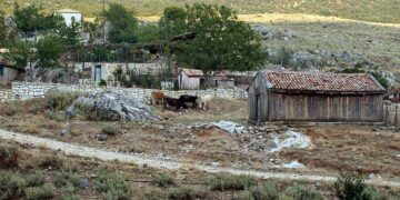 Ποιμνιοστάσιο (φωτ.: αρχείο EUROKINISSI)