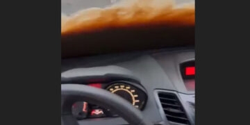 Καρέ από το βίντεο που τράβηξε ο οδηγός (πηγή: ΕΡΤ)