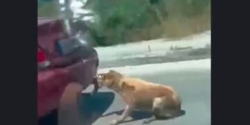 (Φωτ.: twitter.com/CimbrianMarius)