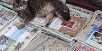 (Φωτ. αρχείου: Κώστας Τζούμας / EUROKINISSI)