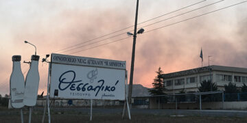 Φωτιά στη Νέα Αγχίαλο (φωτ.: EUROKINISSI / Τατιάνα Μπόλαρη)