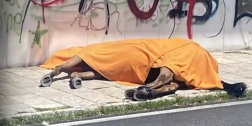 Το άτυχο άλογο δεν άντεξε τη ζέστη και την καταπόνηση και ξεψύχησε αβοήθητο (φωτ.: glomex)