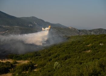 Πυροσβεστικό αεροσκάφος Canadair επιχειρεί σε δασική έκταση (φωτ.: EUROKINISSI/Νάσος Σιμόπουλος)