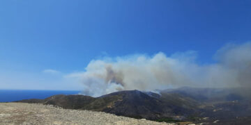 Αναζωπύρωση στον Πλατανιστό Καρύστου (φωτ.: Facebook / Vagelis Spirou)