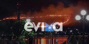 Στιγμιότυπο από τη φωτιά (φωτ.: evima.gr)