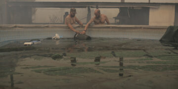 Τα αδέλφια Στάθη, Σταμάτης και Σπύρος, μεταφέρουν νερό από πισίνα στην προσπάθεια τους να περιορίσουν τη φωτιά που απειλεί το αγρόκτημα τους στην περιοχή Παλαιοκούντουρα Δερβενοχωρίων (φωτ.: ΑΠΕ-ΜΠΕ / Κώστας Τσιρώνης)