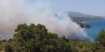 Φωτιά στην περιοχή Αγία Τριάδα της Κορώνης, στη Μεσσηνία (φωτ.: ΕΡΤ)