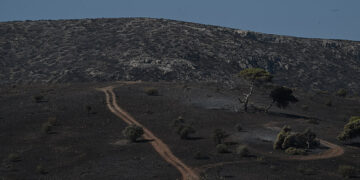 Τι άφησε πίσω η φωτιά στη νοτιοανατολική Αττική (φωτ.: EUROKINISSI / Τατιάνα Μπόλαρη)