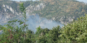 Καπνός από τη φωτιά στην Κύμη (φωτ.: Facebook / Δημήτριος Πέππας)