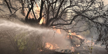 Εστία φωτιάς στη Μάνδρα (φωτ.: αρχείο  EUROKINISSI / Μιχάλης Καραγιάννης)