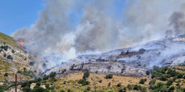Η φωτιά στη Νάξο κατέκαψε περίπου 2.000 στρέμματα (φωτ.: Facebook / Δήμος Νάξου και Μικρών Κυκλάδων)