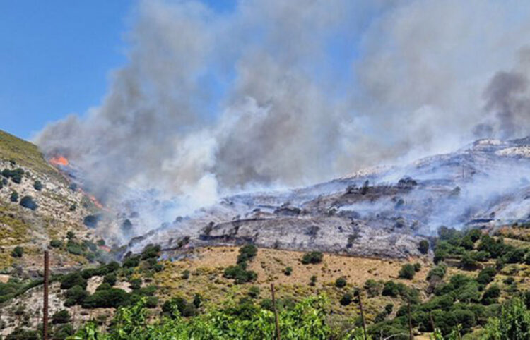Η φωτιά στη Νάξο κατέκαψε περίπου 2.000 στρέμματα (φωτ.: Facebook / Δήμος Νάξου και Μικρών Κυκλάδων)