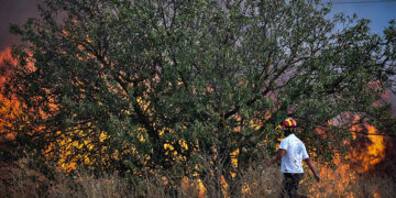 Μάχη με τη φωτιά στον Βόλο (φωτ.: EUROKINISSI / Βασίλης Οικονόμου)