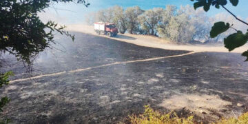 Καμένη έκταση στο Καστρί Βιάννου (φωτ.: π. Εμμανουήλ Λιαπάκης)