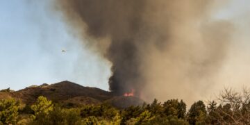 Το τελευταίο 24ωρο εκδηλώθηκαν 61 δασικές πυρκαγιές και οι πυροσβεστικές δυνάμεις αντιμετωπίζουν συνολικά 90 σε όλη την επικράτεια (φωτ.: EUROKINISSI/Λευτέρης Δαμιανίδης)