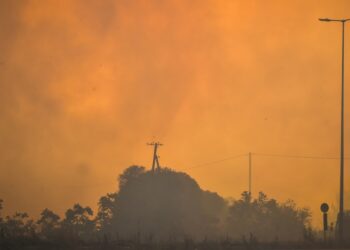 Στιγμιότυπο από τις φωτιές στη Μαγνησία (φωτ.: EUROKINISSI/Βασίλης Οικονόμου)