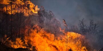 Στιγμιότυπο από τις φωτιές στη Μαγνησία (φωτ.: EUROKINISSI/Βασίλης Οικονόμου)