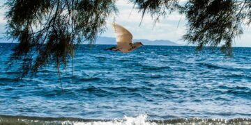 (Φωτ.: EUROKINISSI/Γιώργος Κονταρίνης)