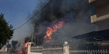 Πυρκαγιά στον Νέο Κουβαρά Αττικής 
(φωτ.: EUROKINISSI / Μιχάλης Καραγιάννης)